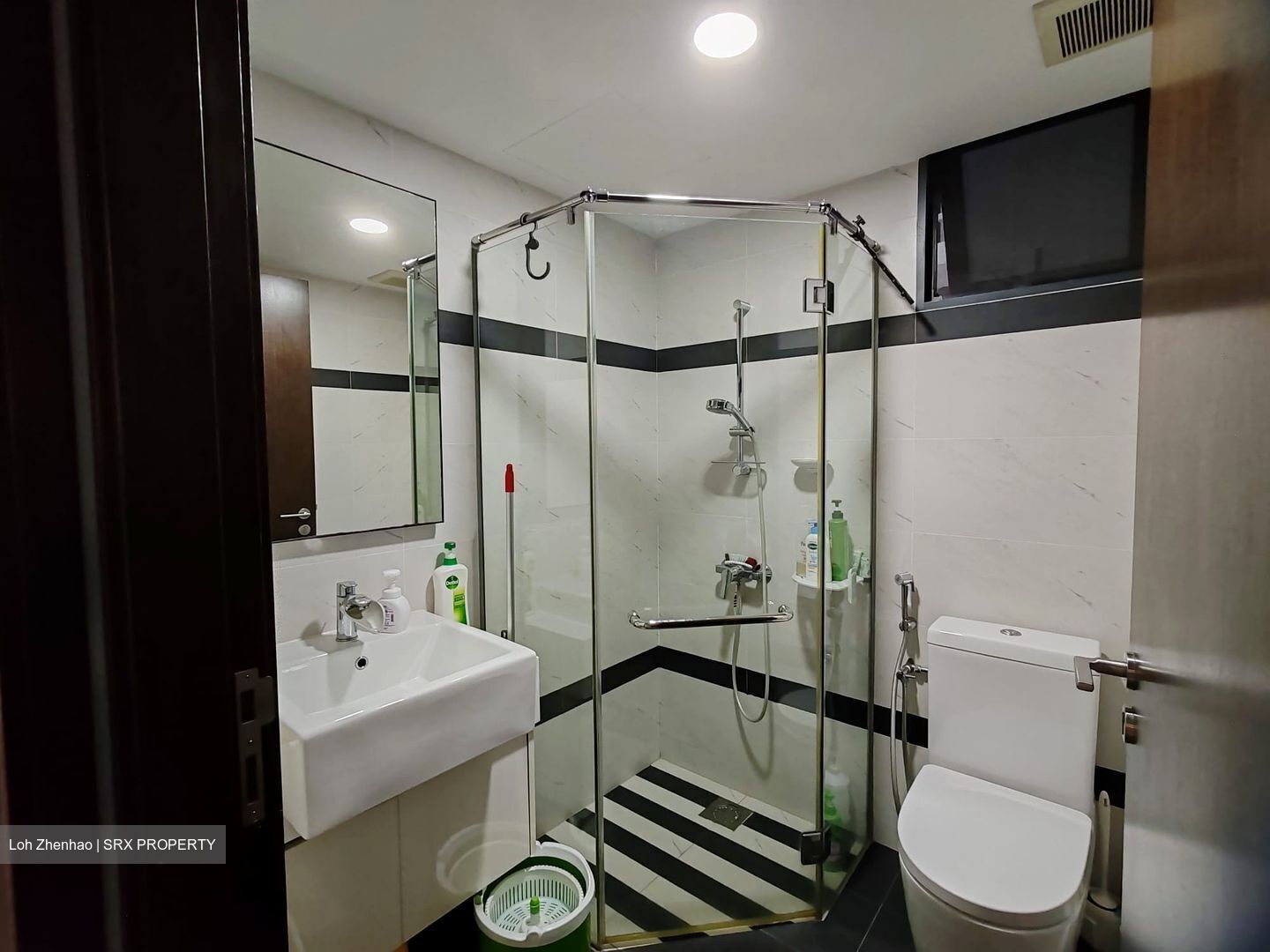 Symphony Suites (D27), Condominium #523972851